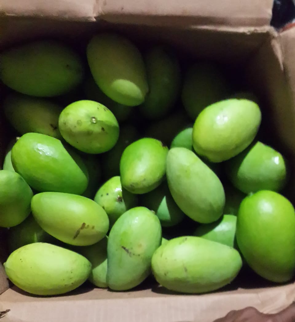 Mangoes BVI Special